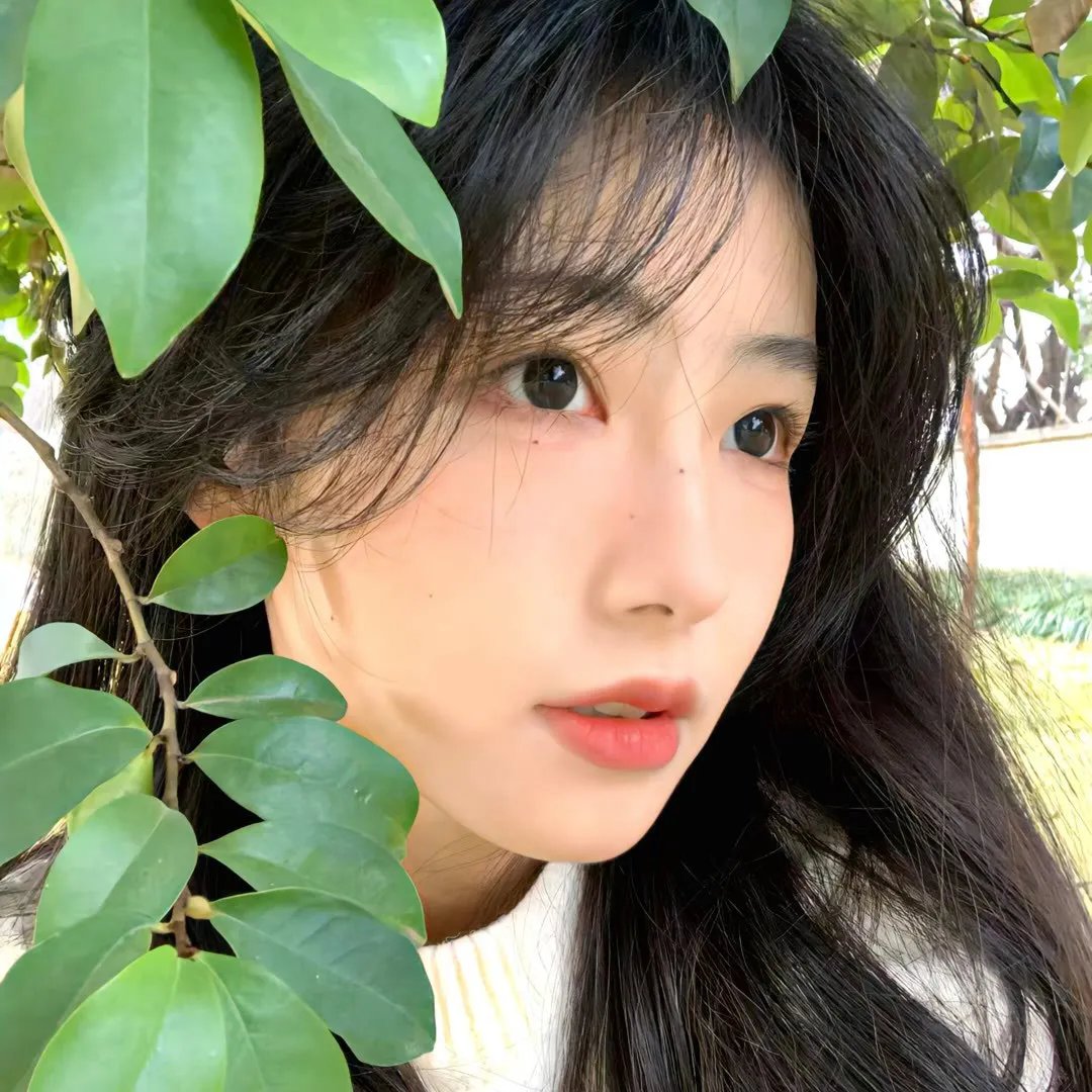 最后的成员